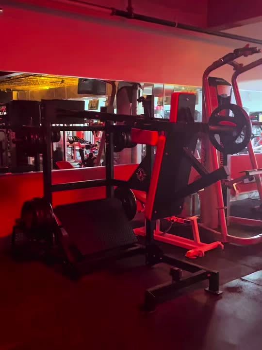 Pendulum squat and leg equipment